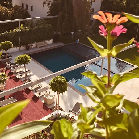 Goldfinger + Suites Lana Luaran gambar